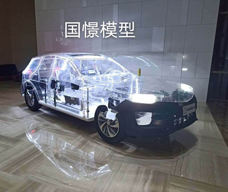 华安县透明车模型